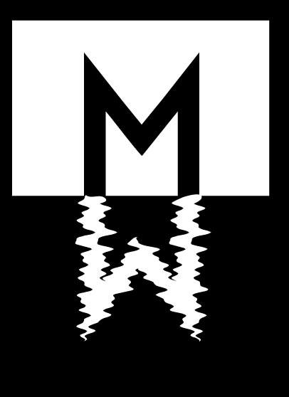 martin wishart logo